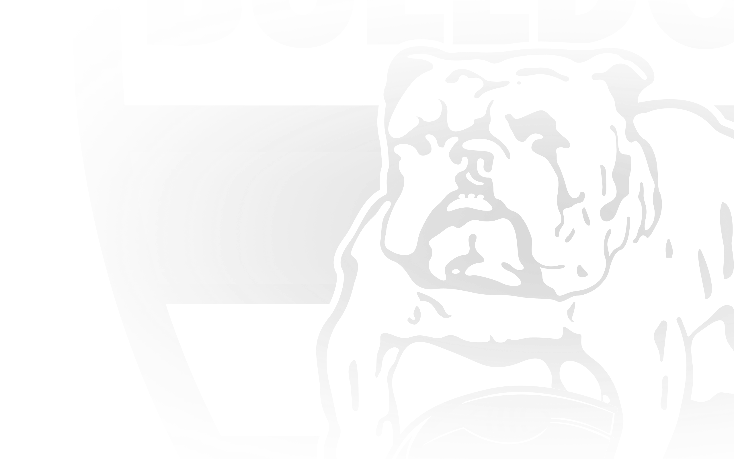 Retirements Delistings Western Bulldogs