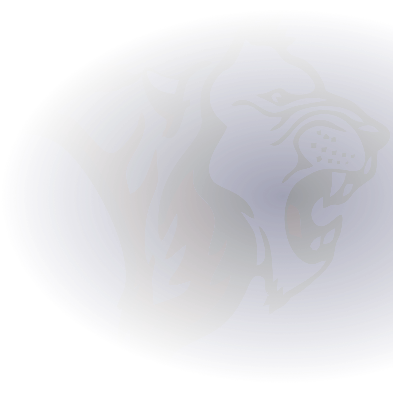 official-afl-website-of-the-western-bulldogs